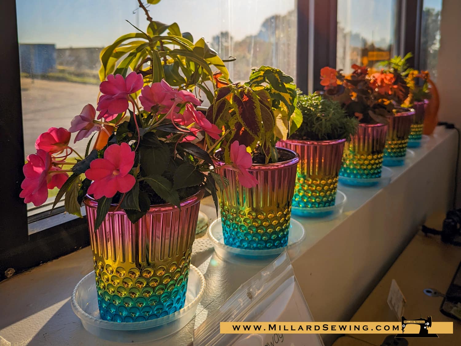 Thimble Craft Container Multiple Colors Available - Image 7