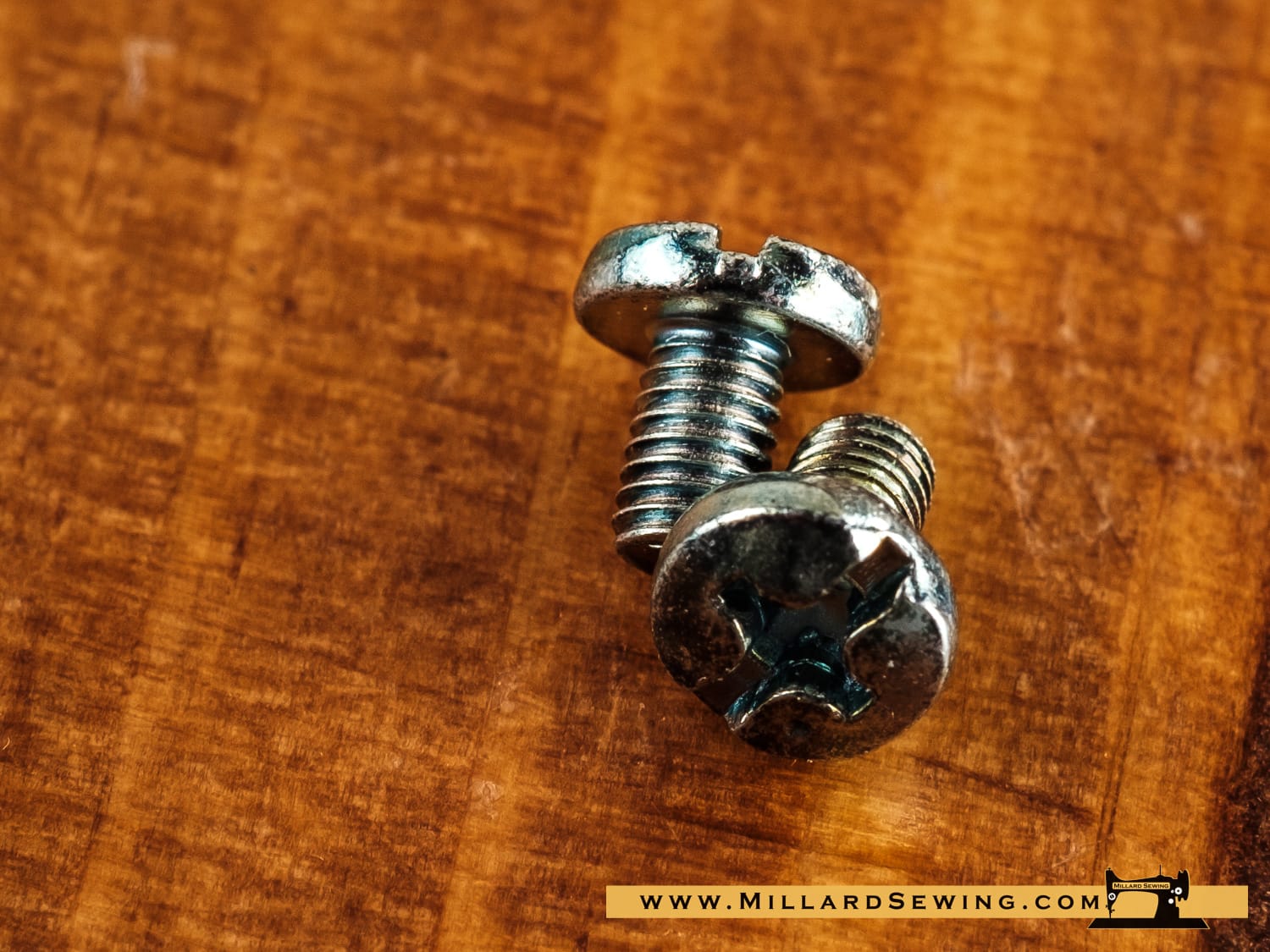 Screw, Feed Dog for BabyLock, Bernina, Brother, & Other Sewing Machines