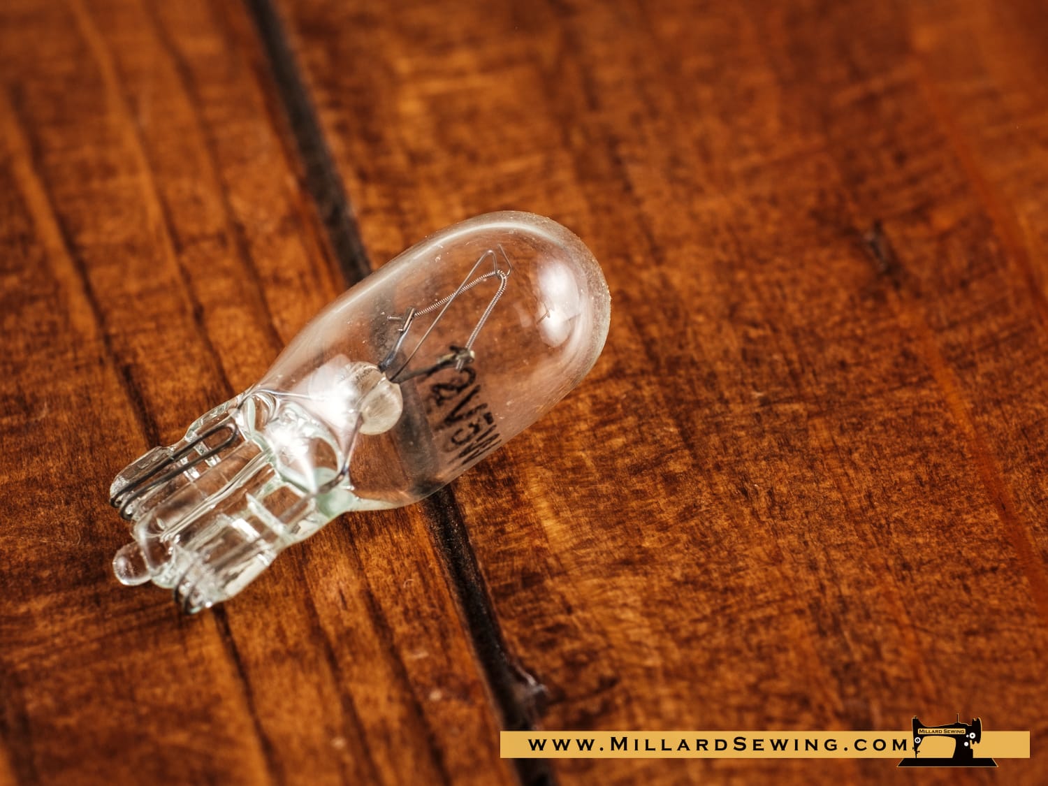 Light Bulb, 12V Push In - Image 2