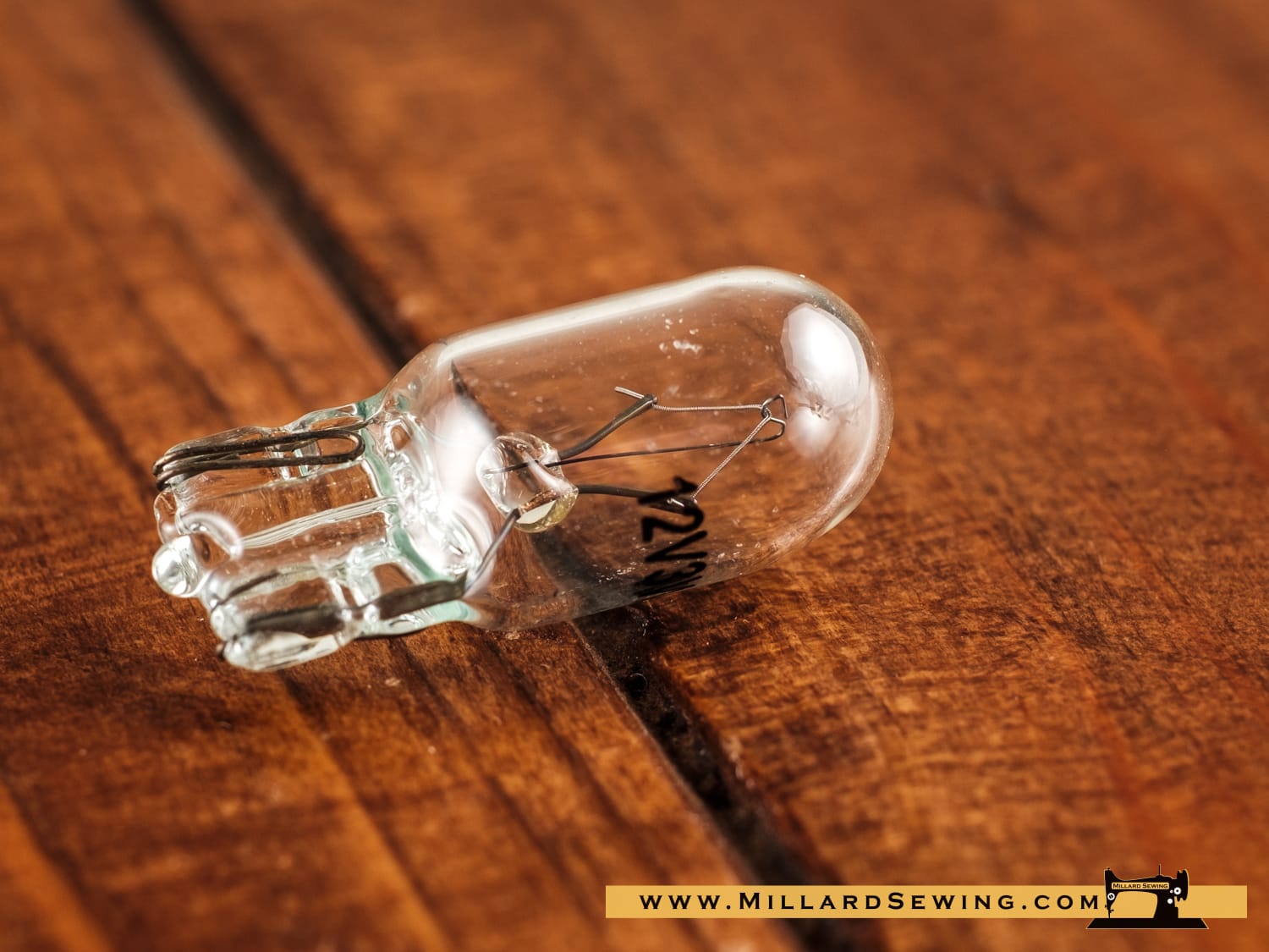 Light Bulb, 12V Push In - Image 3