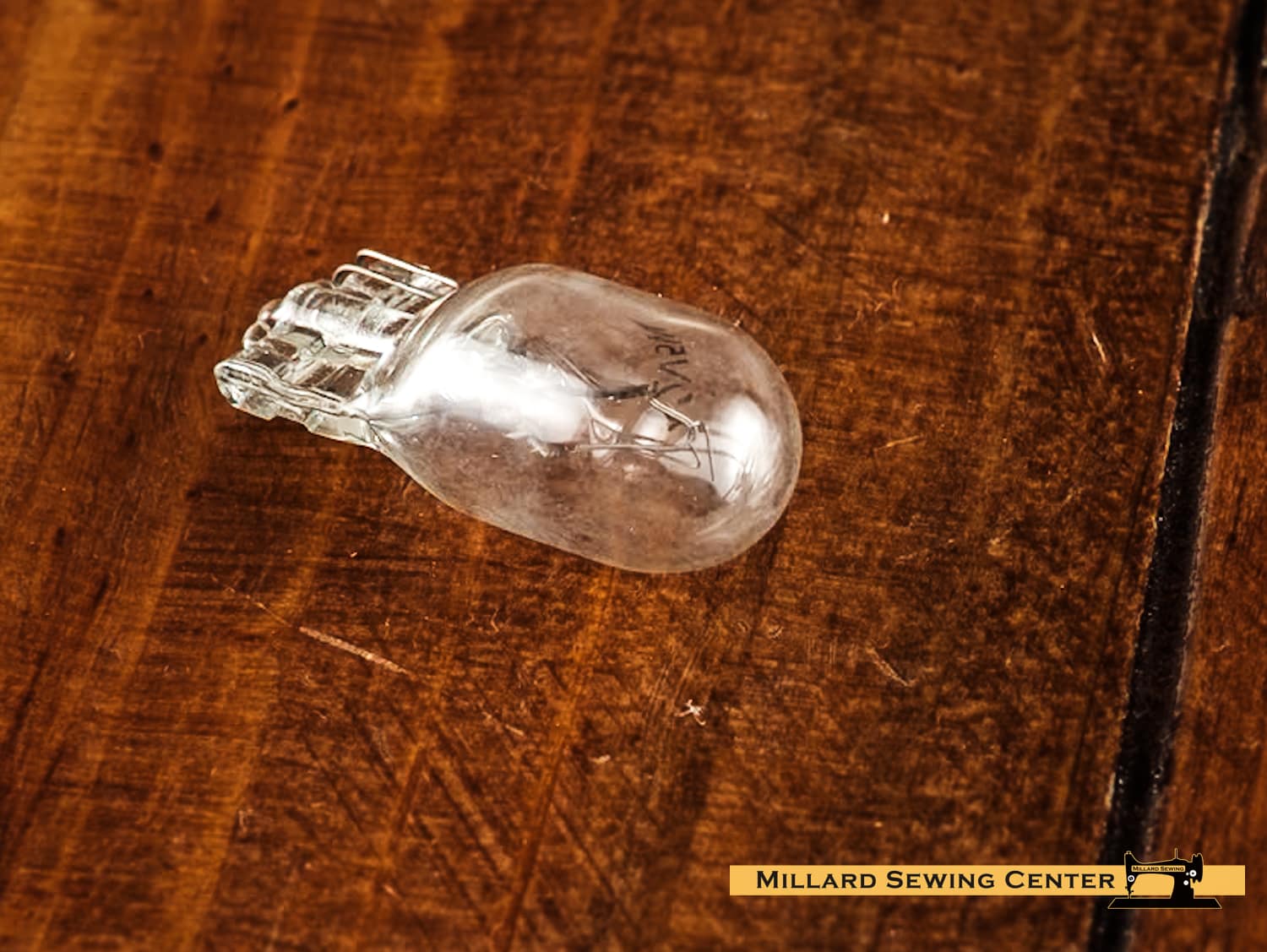 Light Bulb, 12V Push In - Image 5