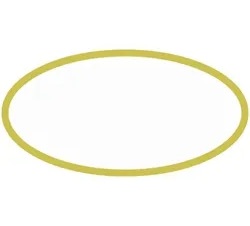 Blank 2" x 4" Oval - Yellow Gold Merrow Border Patch