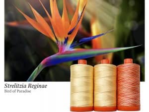 Color Builder 3 Piece Set, 50wt Cotton, Bird of Paradise by Aurifil