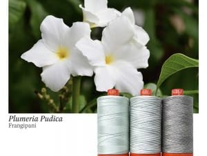 Color Builder 3 Piece Set, 50wt Cotton, Frangipani by Aurifil