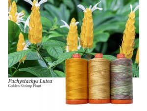 Color Builder 3 Piece Set, 50wt Cotton, Golden Shrimp Plant by Aurifil