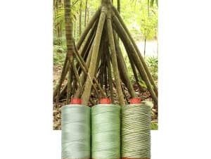 Color Builder 3 Piece Set, 50wt Cotton, Walking Palm by Aurifil