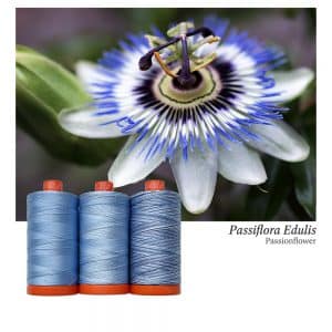 Color Builder 3 Piece Set, 50wt Cotton, Passionflower by Aurifil