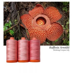Color Builder 3 Piece Set, 50wt Cotton, Stinking Corpse Lily by Aurifil