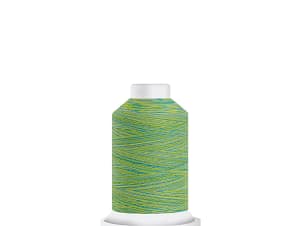 40wt Variegated Cotton Thread in 60552 Appletini by Harmony
