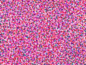 Cotton Fabric, 44" Wide in Party Spot by Dashwood Studio