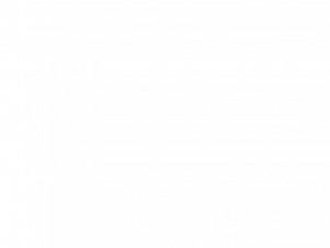 Polyester Fabric, 60″ Wide Poly Chiffon in White by EESCO