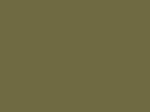 Polyester Fabric, 60″ Wide Poly Lining in Khaki by EESCO