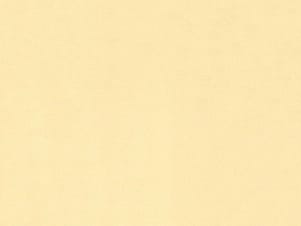 Polyester Fabric, 60″ Wide Poly Organza in Nude by EESCO