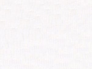 Polyester Fabric, 60″ Wide Poly Organza in White by EESCO