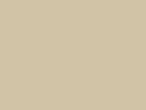 Polyester Fabric, 63″ Wide Poplin Plus in Beige by EESCO