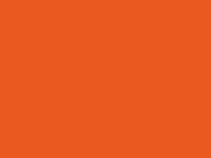 Polyester Fabric, 63″ Wide Poplin Plus in Orange by EESCO