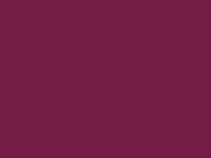 Polyester Fabric, 60″ Wide Poly Plush Pongee in F Burgundy by EESCO