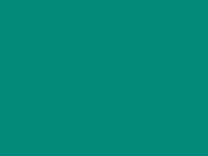 Polyester Fabric, 60″ Wide Poly Plush Pongee in F Emerald by EESCO