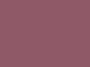 Polyester Fabric, 60″ Wide Poly Plush Pongee in F Raisin by EESCO