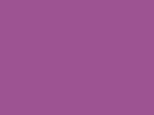 Polyester Fabric, 60″ Wide Poly Plush Pongee in Grape by EESCO