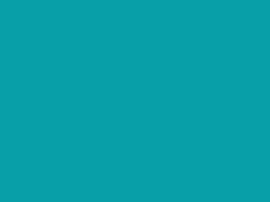 Polyester Fabric, 60″ Wide Poly Plush Pongee in Turquoise Marine by EESCO
