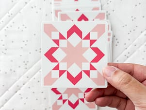 Starly Stickers By Fran Gulick