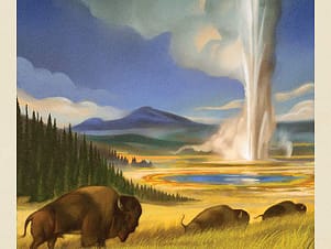 Cotton Fabric Panel, 43"/44" Wide National Parks Wilderness & Wonder in Yellowstone by Riley Blake Designs