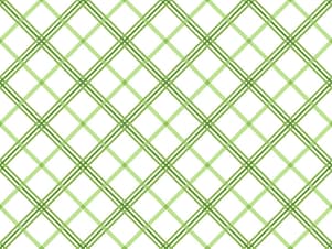Cotton Flannel Fabric, 43"/44" Wide Kimberbell Basics in Green Plaid by Maywood Studio