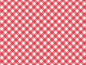 Woven Cotton Fabric, 43"/44" Wide in Debbie Cayenne by Riley Blake Designs