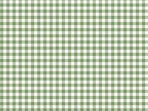 Woven Cotton Fabric, 43"/44" Wide in ReNae Basil by Riley Blake Designs