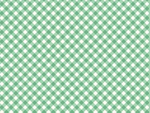 Woven Cotton Fabric, 43"/44" Wide in Tammy Alpine by Riley Blake Designs