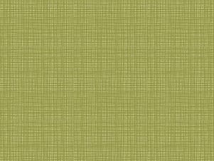 100% Cotton Fabric, 43"/44" Wide in Texture Asparagus by Riley Blake Designs