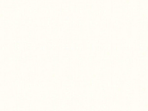 100% Cotton Fabric, 43"/44" Wide in Texture Cream by Riley Blake Designs