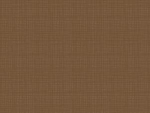 100% Cotton Fabric, 43"/44" Wide in Texture Teddy Bear by Riley Blake Designs