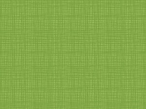 100% Cotton Fabric, 43"/44" Wide in Texture Turtle by Riley Blake Designs