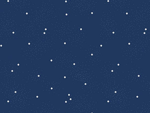 100% Cotton Fabric, 43"/44" Wide in Dainty Daisy Navy by Riley Blake Designs