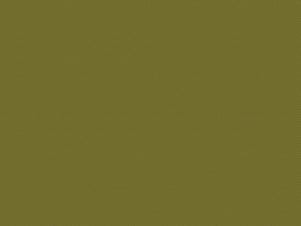 Woven Cotton Fabric, 43"/44" Wide in POParazzi Avocado by Riley Blake Designs