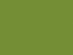 Woven Cotton Fabric, 43"/44" Wide in POParazzi Basil by Riley Blake Designs