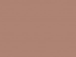 Woven Cotton Fabric, 43"/44" Wide in POParazzi Cinnamon by Riley Blake Designs