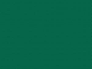 Woven Cotton Fabric, 43"/44" Wide in POParazzi Forest by Riley Blake Designs