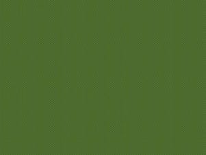 Woven Cotton Fabric, 43"/44" Wide in POParazzi Hunter by Riley Blake Designs