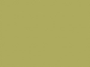 Woven Cotton Fabric, 43"/44" Wide in POParazzi Moss by Riley Blake Designs