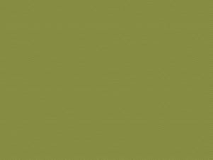 Woven Cotton Fabric, 43"/44" Wide in POParazzi Olive by Riley Blake Designs