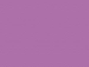 Woven Cotton Fabric, 43"/44" Wide in POParazzi Orchid by Riley Blake Designs