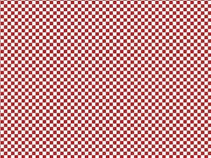 100% Cotton Fabric, 43"/44" Wide in Check Please! 1/4" Check Barn Red by Riley Blake Designs