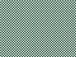 100% Cotton Fabric, 43"/44" Wide in Check Please! 1/4" Check Christmas Green by Riley Blake Designs