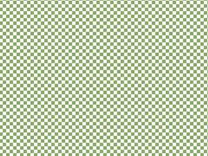 100% Cotton Fabric, 43"/44" Wide in Check Please! 1/4" Check Green by Riley Blake Designs