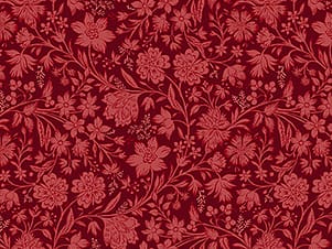 100% Cotton Fabric, 44" Wide in Packed Trail by Northcott