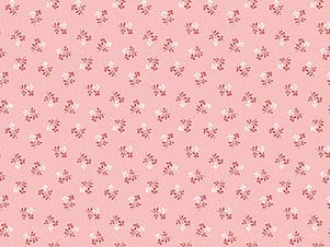 100% Cotton Fabric, 44" Wide in Floral Spot by Northcott
