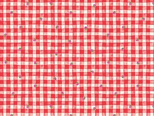 Cotton Fabric, 43"/44" Wide The World of Strawberry Shortcake™ in Gingham Red by Riley Blake Designs